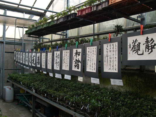 V�stava kaligrafie BC Lib�any